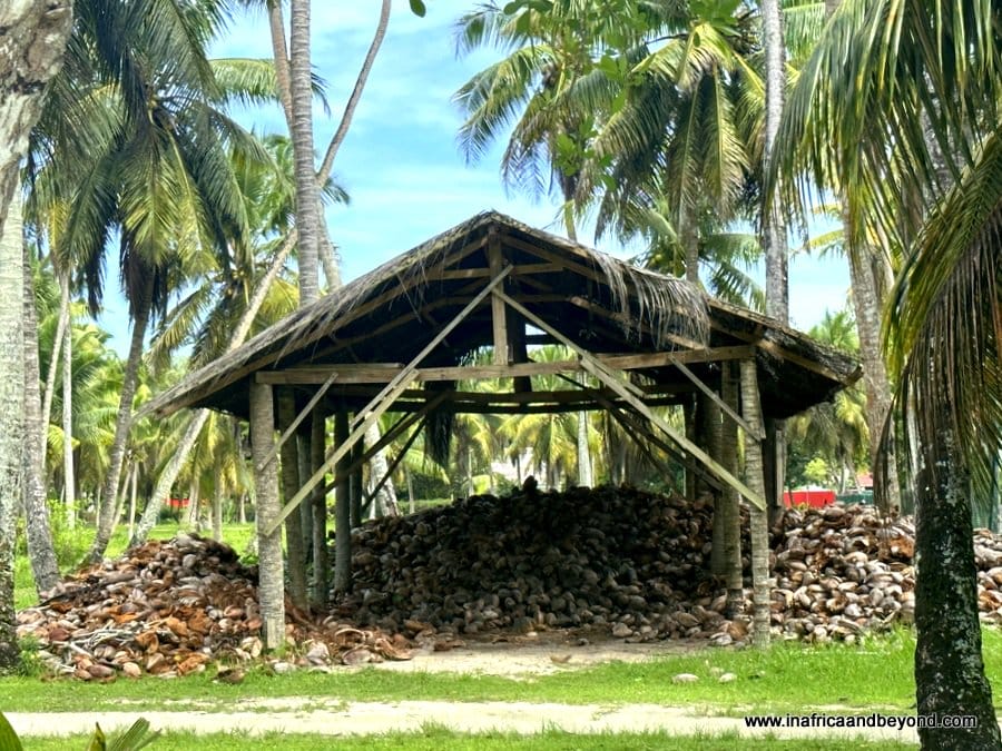 11 Best Things to do on La Digue Island 10 L'Union Estate