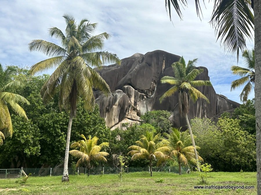 11 Best Things to do on La Digue Island 8 L'Union Estate