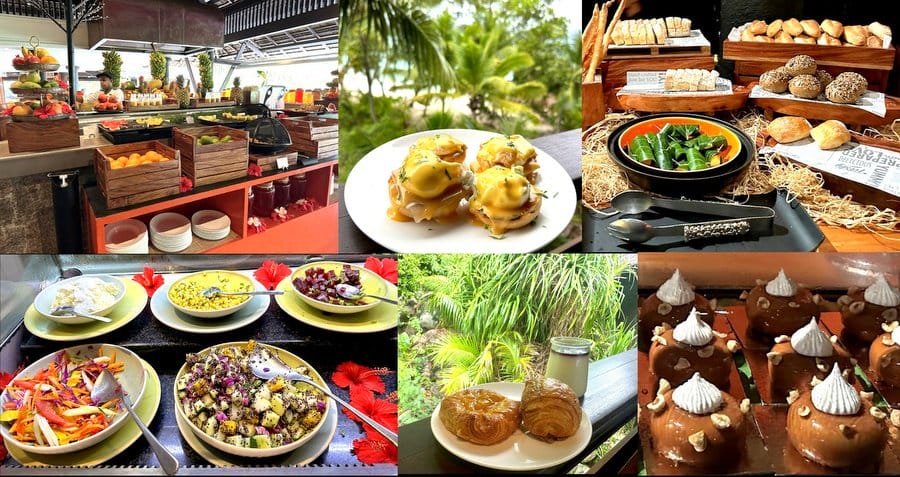 Constance Lemuria Review