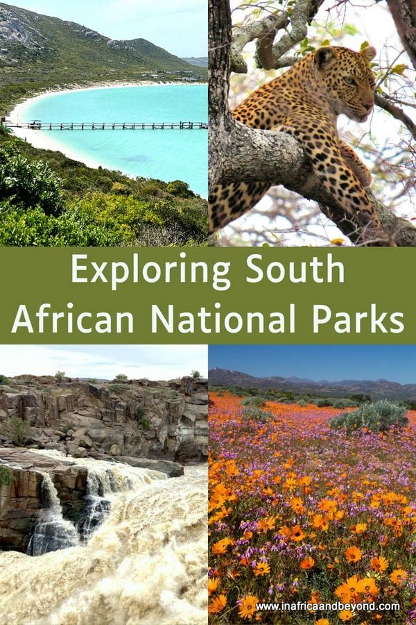 South African National Parks