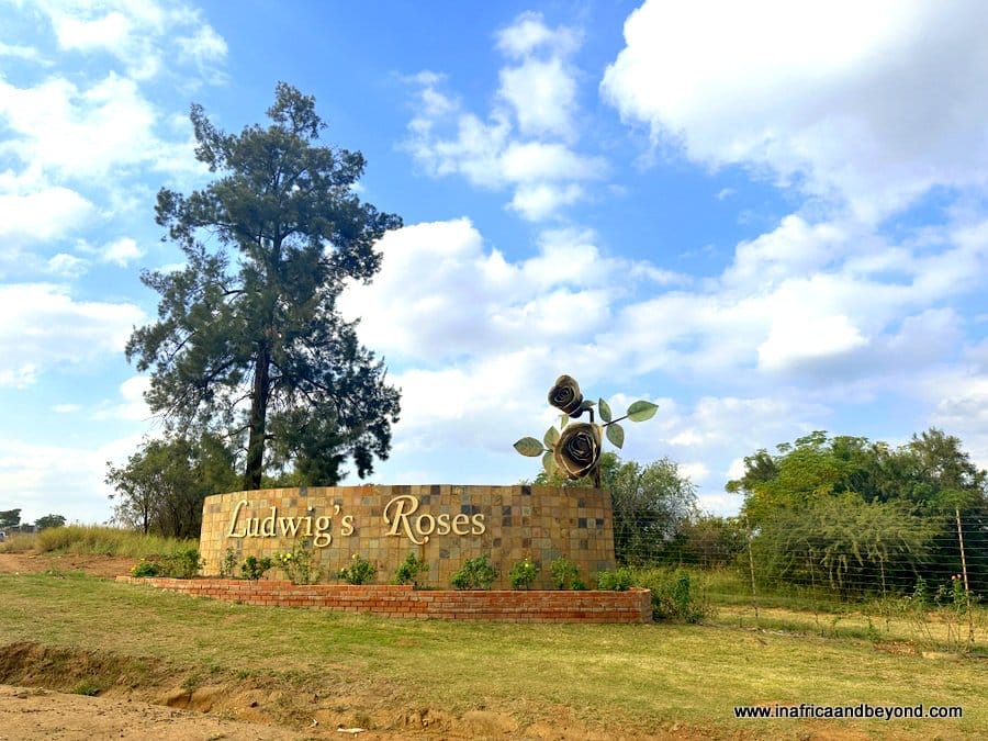 Ludwig's Roses: A Colourful Rose Wonderland in Pretoria 1 Ludwig's Roses: - Ludwig's Rose Farm