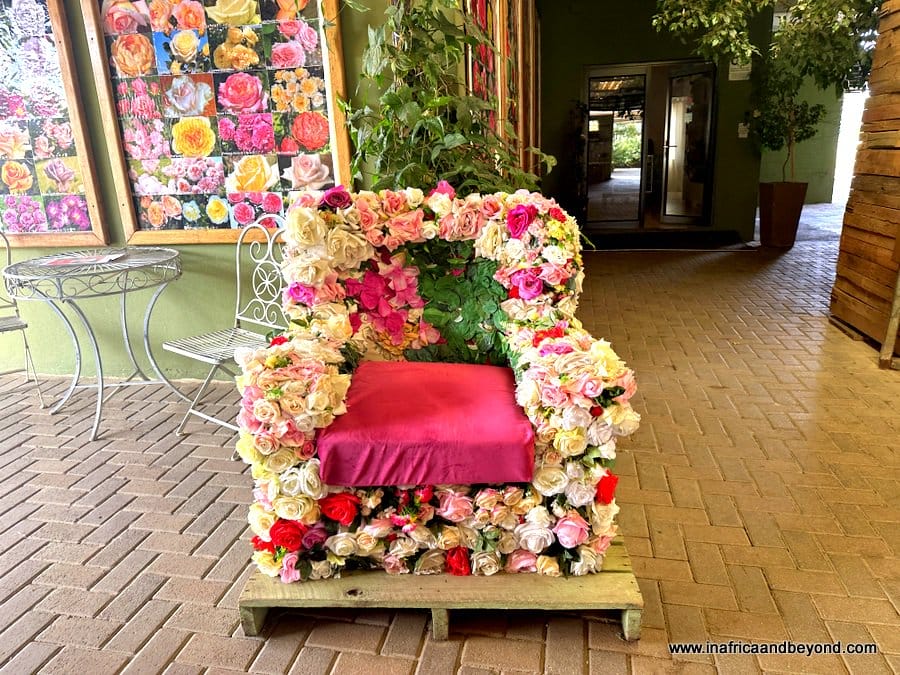 Ludwig's Roses: A Colourful Rose Wonderland in Pretoria 4 Ludwig's Roses: - Ludwig's Rose Farm