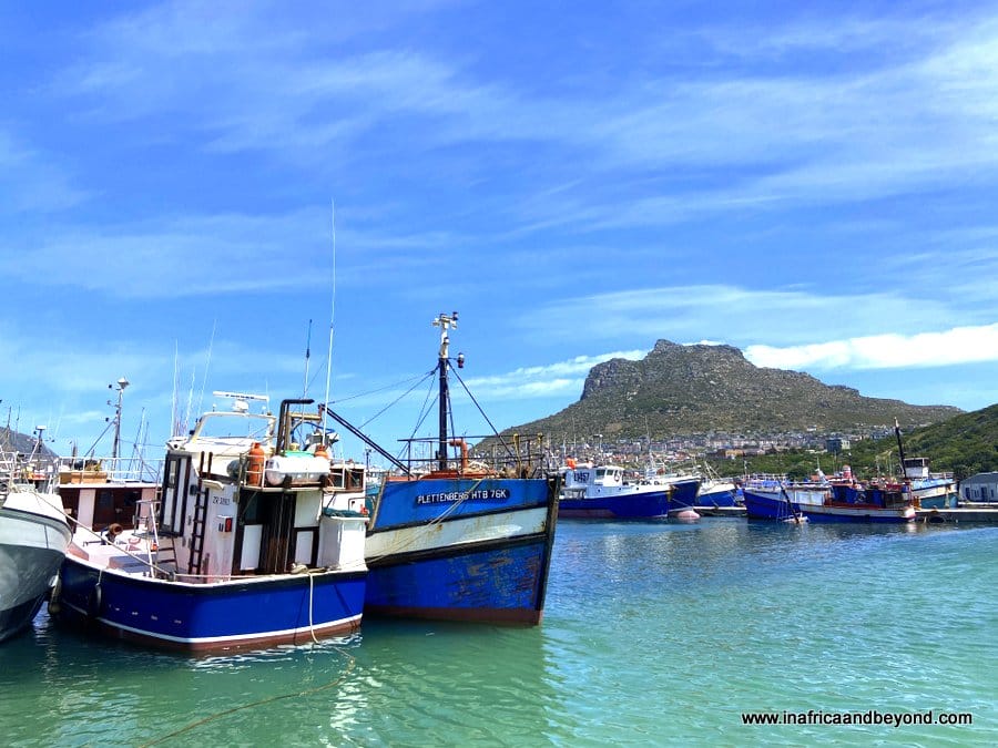 Boats against the mountain in Hout Bay