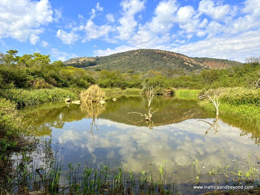 Walter Sisulu Botanical Garden