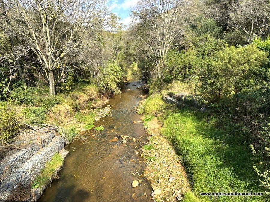 Walter Sisulu Botanical Garden