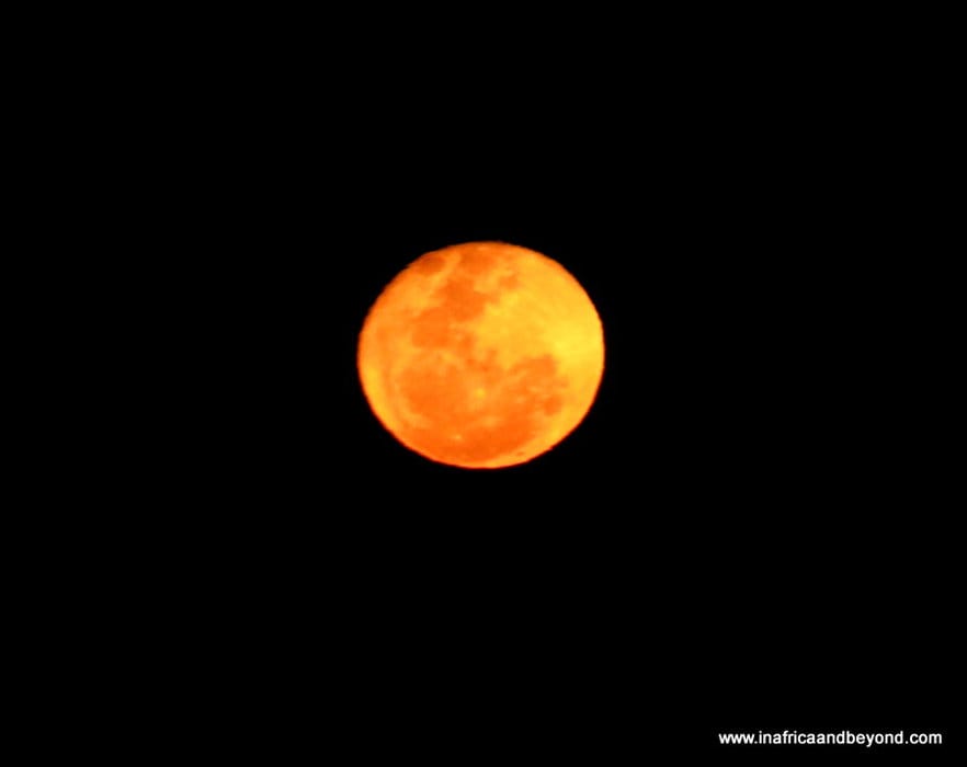 Tintswalo Waterberg : An Idyllic Family Safari Hideaway 4 Supermoon South Africa