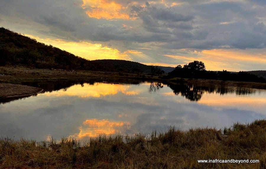 Tintswalo Waterberg : An Idyllic Family Safari Hideaway 3 Welgevonden Game Reserve