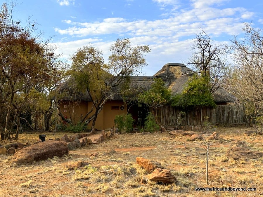 Tintswalo Waterberg : An Idyllic Family Safari Hideaway 6 Tintswalo Family Camp Review