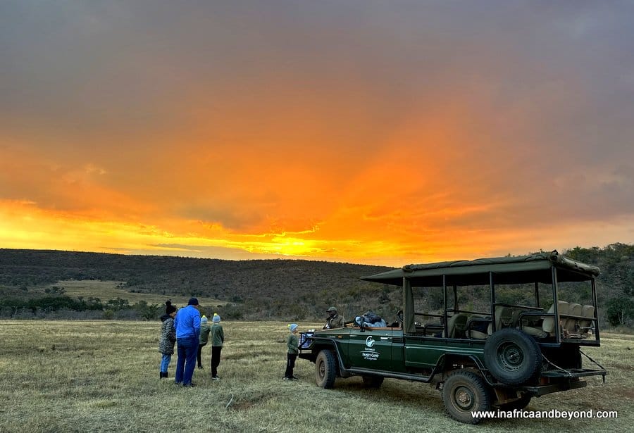 My 2023 Travel and Blogging Year In Review 3 The Best Big 5 Game Reserves near Johannesburg