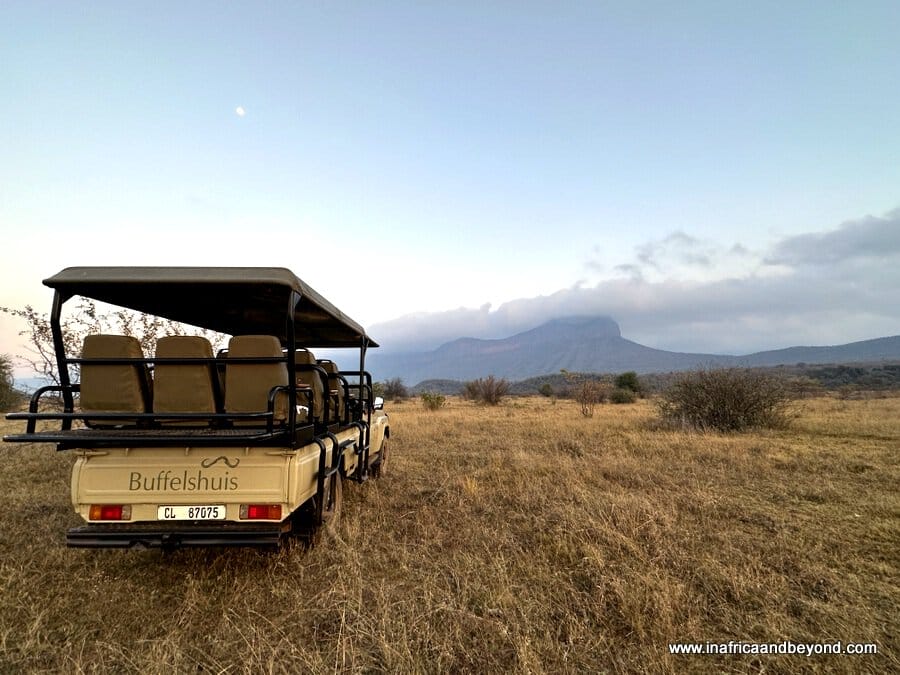 Game drive Buffelshuis
