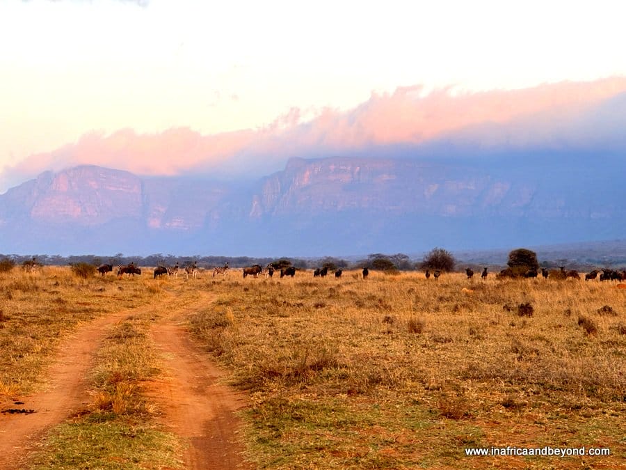 Entabeni Safari Conservancy