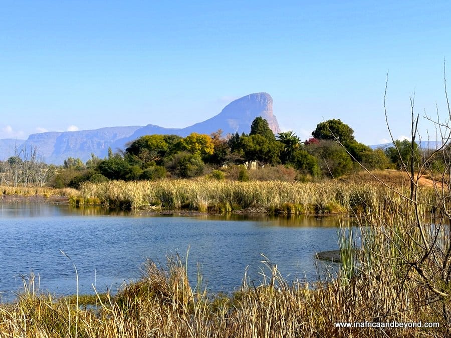 Entabeni Safari Conservancy