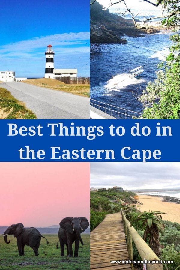 things to do in the Eastern Cape