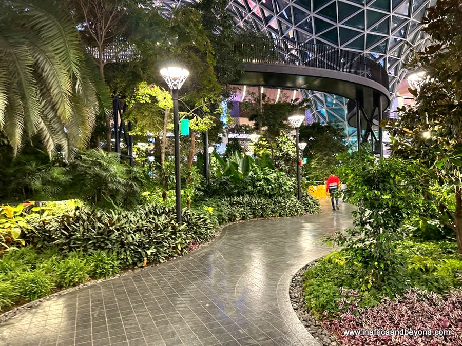 Hamad International Airport Review