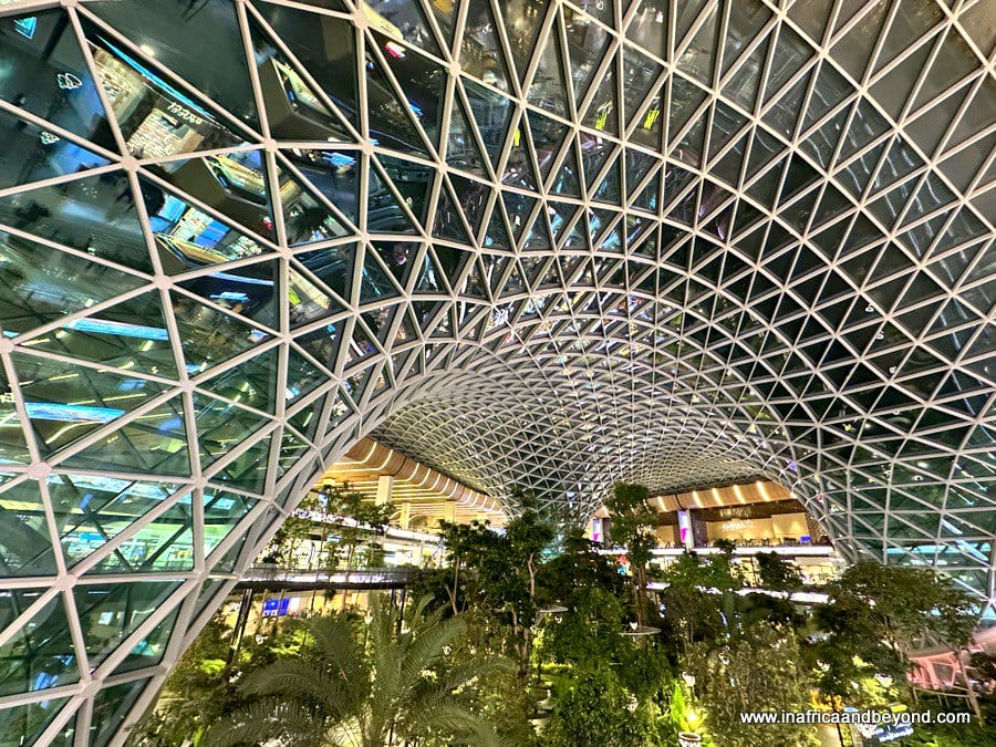 Qatar Airways and Hamad International Airport Review 2 Hamad International Airport Review