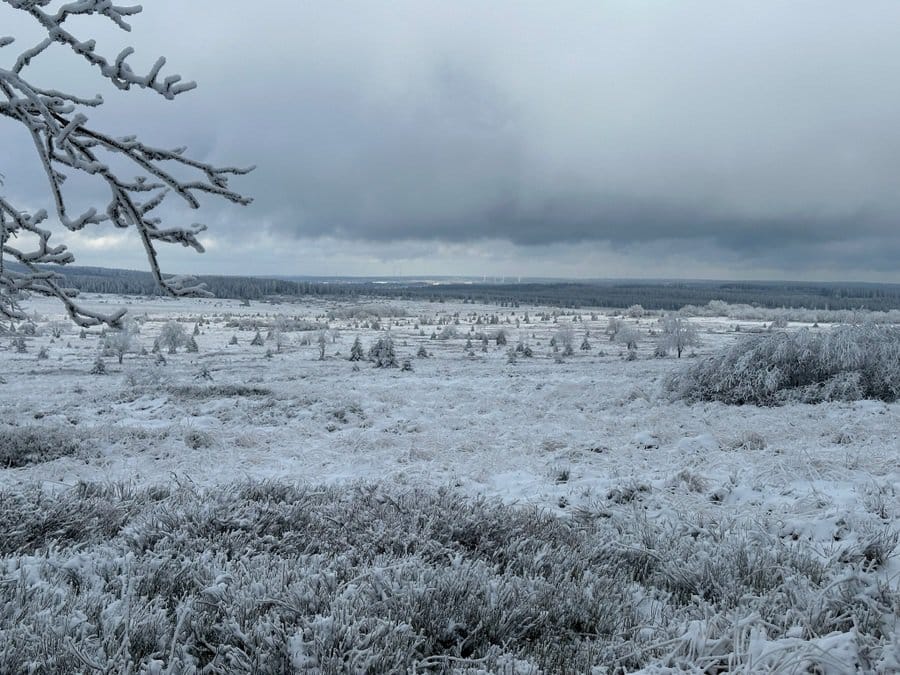 Snow in Les Hautes Fagnes