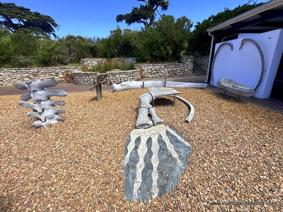 11 Best Things To Do In Cape Point 7 Buffelsfontein Visitor Centre