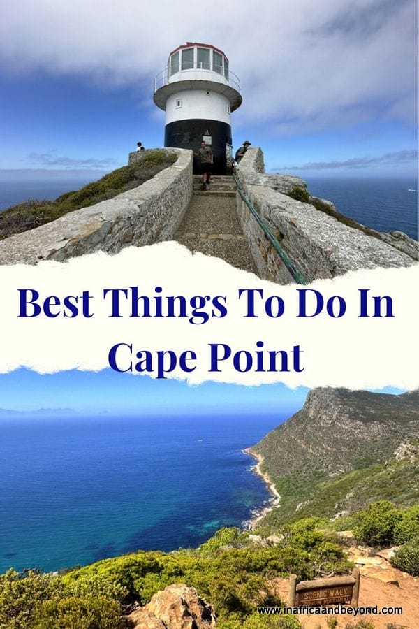 11 Best Things To Do In Cape Point 11 Best Things to do in Cape Point