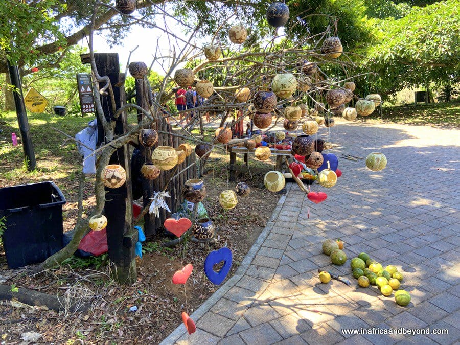 11 Best Things to do in St Lucia, South Africa 7 Beachside craft vendors in St Lucia