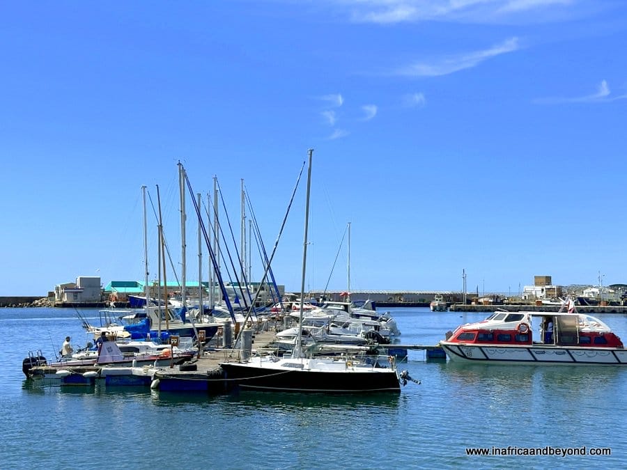 11 Best Things to Do in Mossel Bay 8 Boats in Mossel Bay