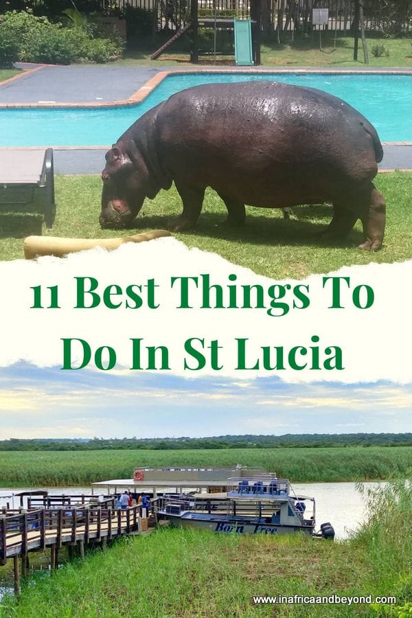 11 Best Things to do in St Lucia, South Africa