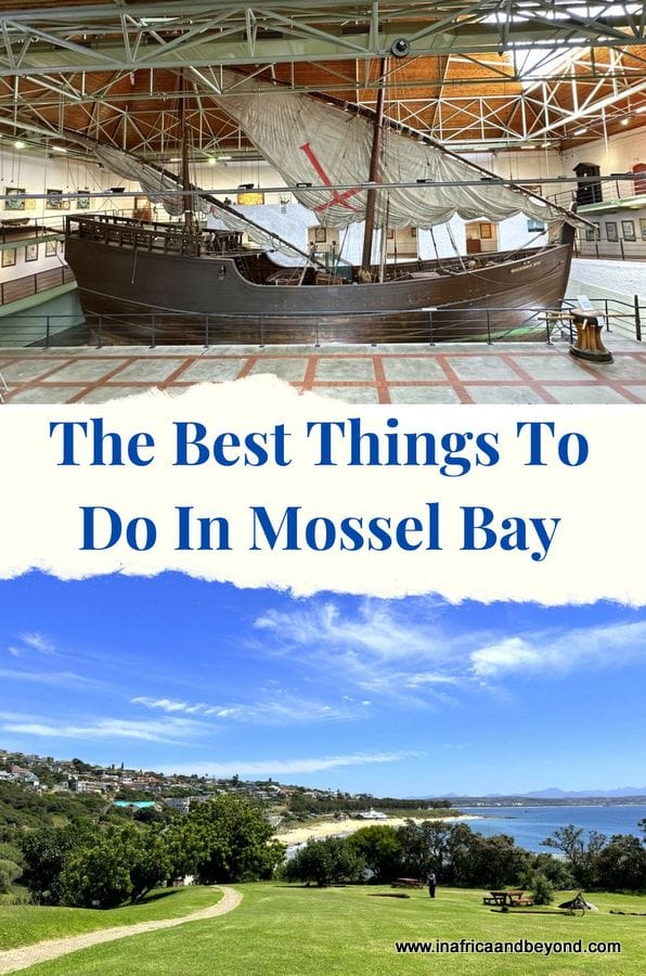 11 Best Things to Do in Mossel Bay 12 Best Things to Do in Mossel Bay