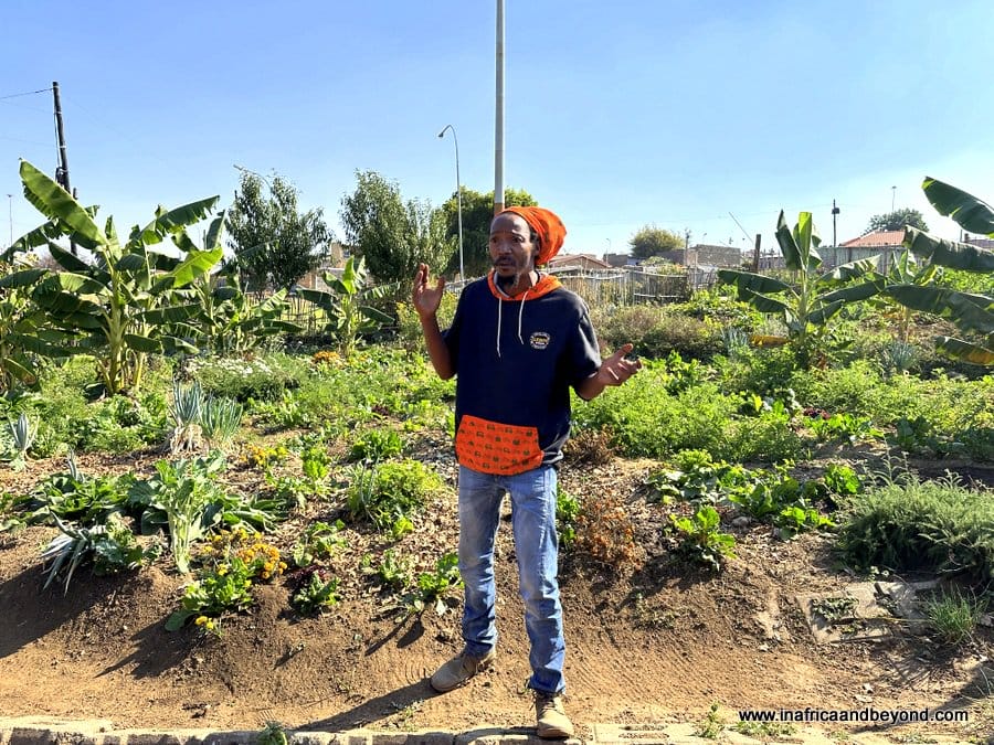 Exploring Soweto with Intrepid Travel 4 Garden at Lebo’s Backpackers