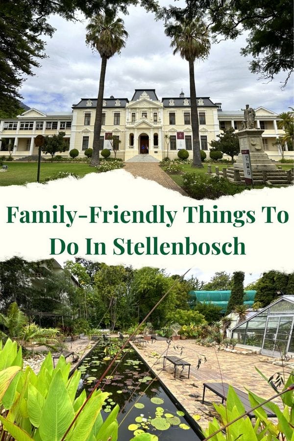 Family-Friendly Things To Do In Stellenbosch