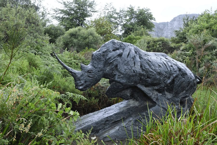Rhino sculpture in garden