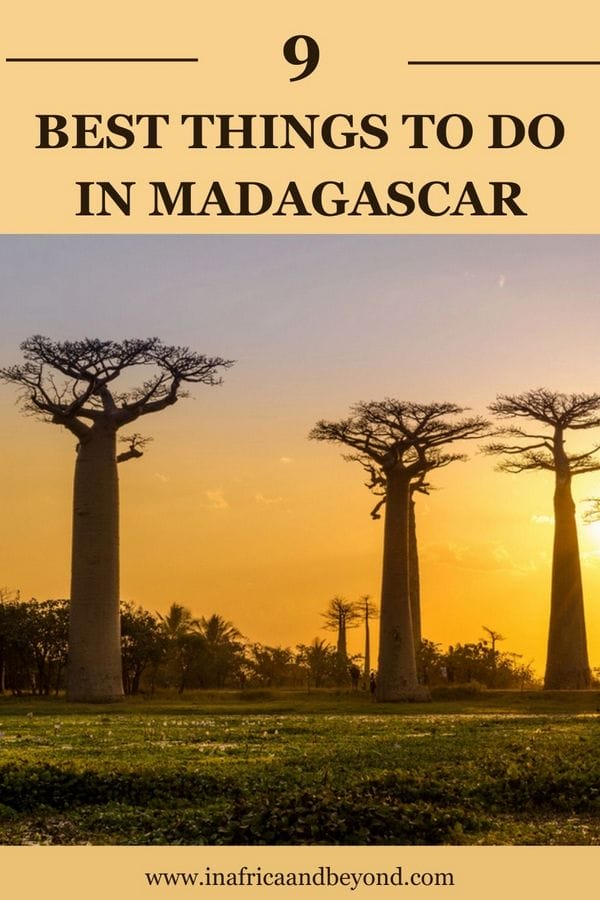 9 Best Things To Do In Madagascar 4 Best Things to Do in Madagascar
