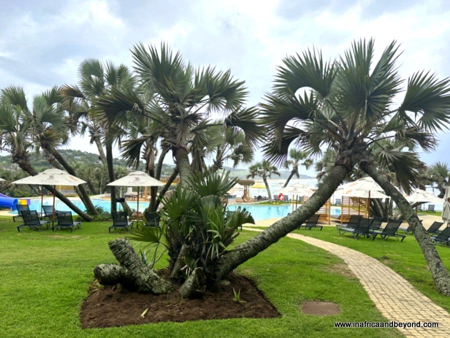 Gardens at Blue Marlin 