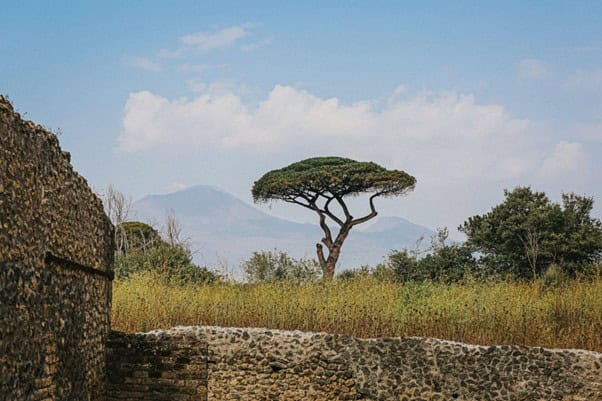 Great Zimbabwe