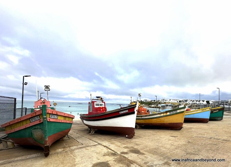 Boats at the harbour