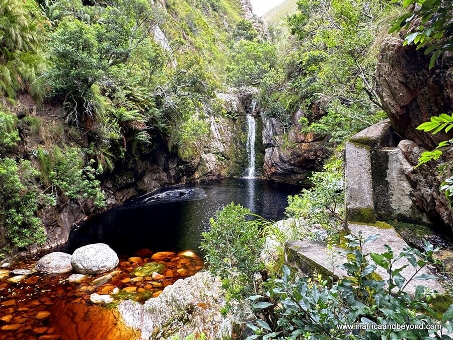 Harold Porter National Botanical Garden