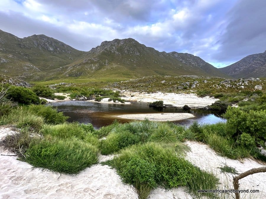 Kogelberg Nature Reserve