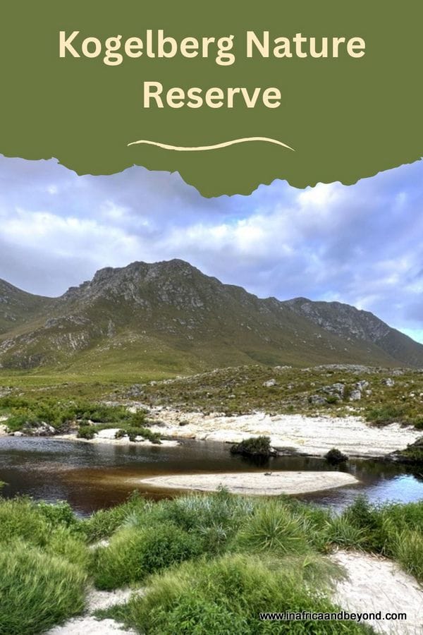 Kogelberg Nature Reserve 