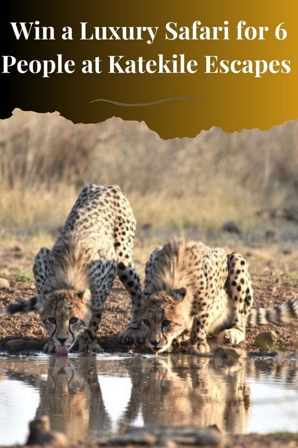 Win a Safari Getaway at Katekile Escapes