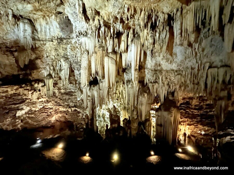 A Day at the Bothongo Rhino and Lion Reserve and WonderCave 2 Bothongo WonderCave