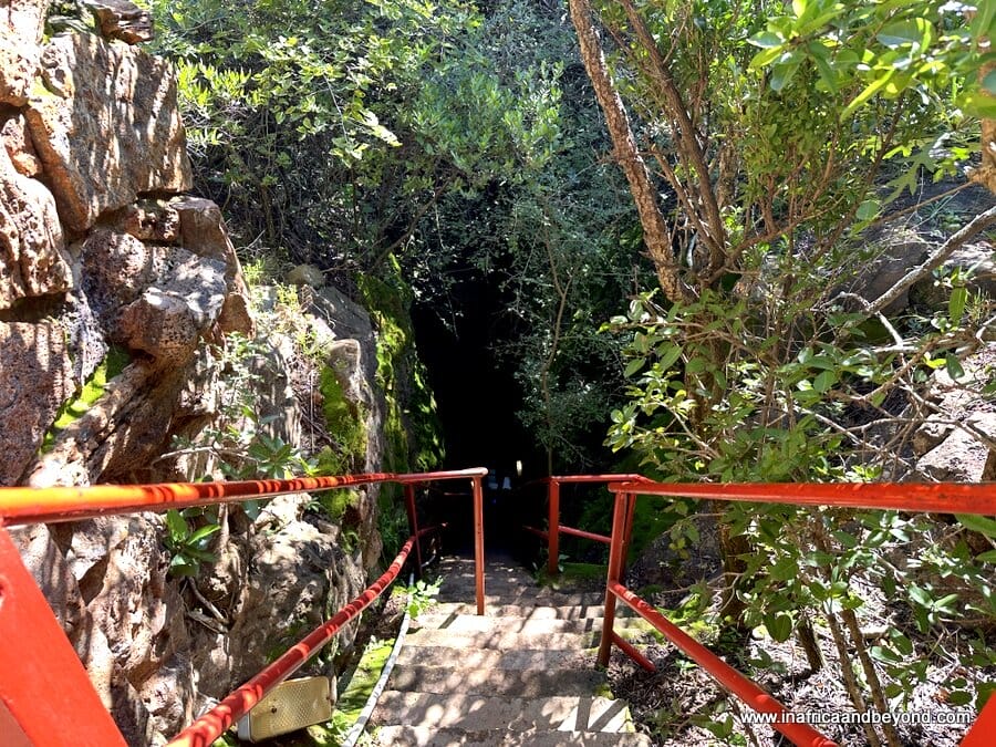 A Day at the Bothongo Rhino and Lion Reserve and WonderCave 1 Entrance to Bothongo WonderCave