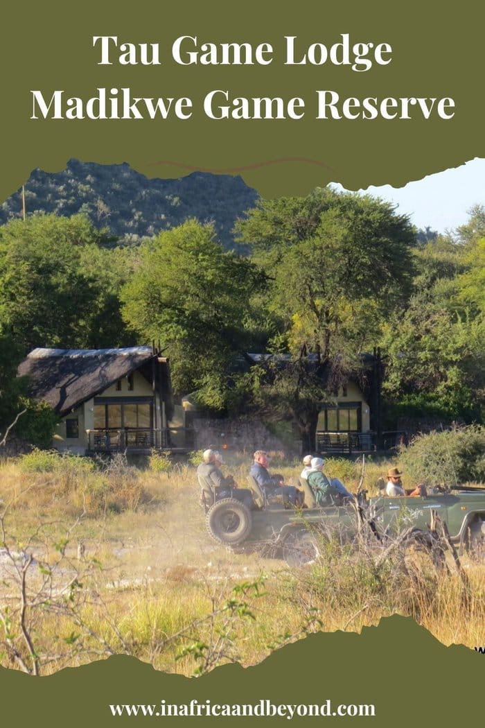 Tau Game Lodge Madikwe