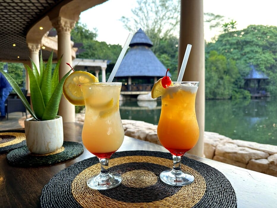 9 Best Things To Do In Eswatini 11 Sundowners at Palm Cascades