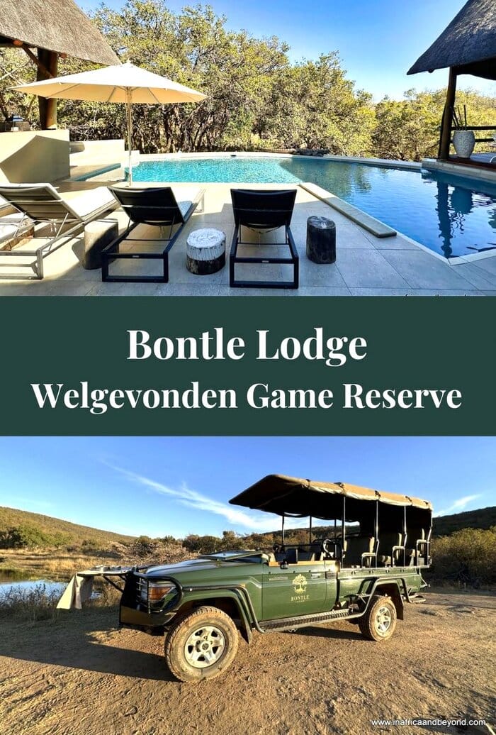 Bontle Lodge Review