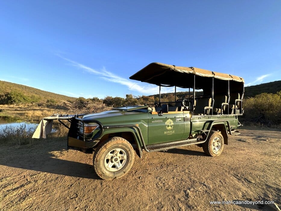 Game Drives in Welgevonden