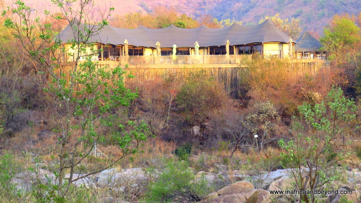 Communal tent at Nkomazi Private Game Reserve 
