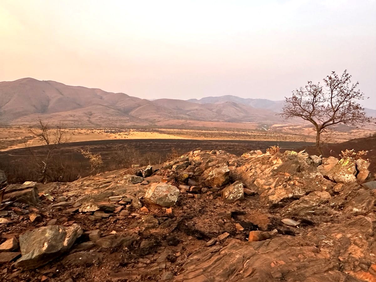 Nkomazi Private Game Reserve : Big Cats and UNESCO Wilderness 10 Barberton Makhonjwa Mountains