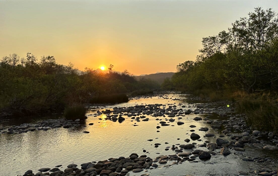 Nkomazi Private Game Reserve : Big Cats and UNESCO Wilderness 7 Sunrise in Nkomazi Private Game Reserve