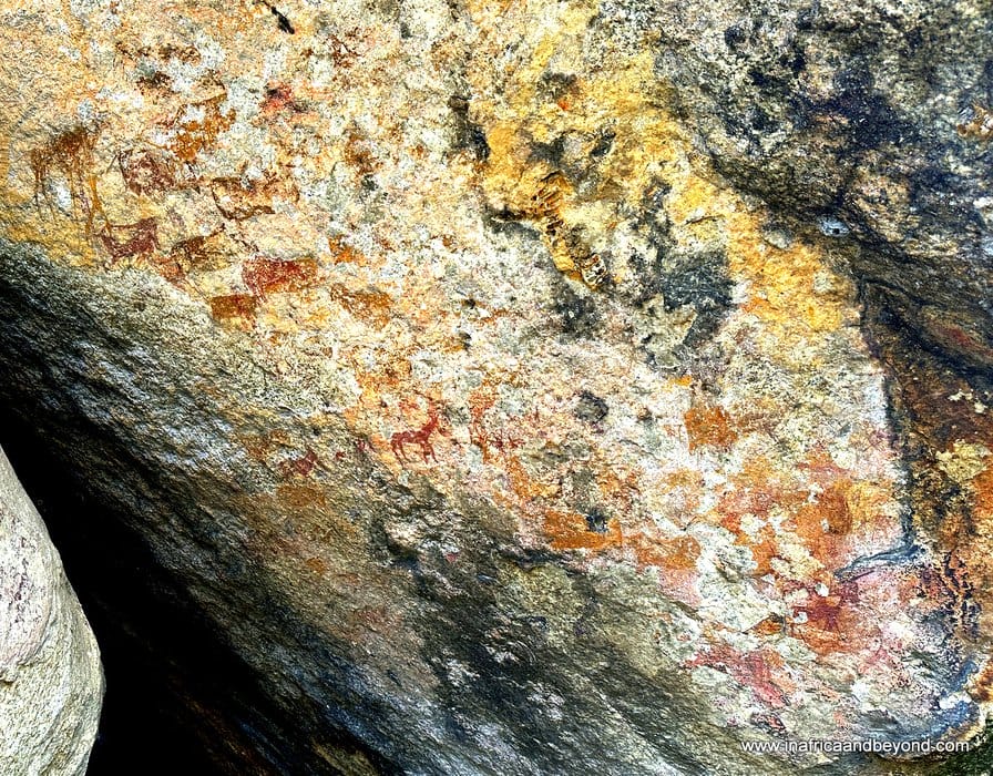 Nkomazi Private Game Reserve : Big Cats and UNESCO Wilderness 11 Rock art in Nkomazi