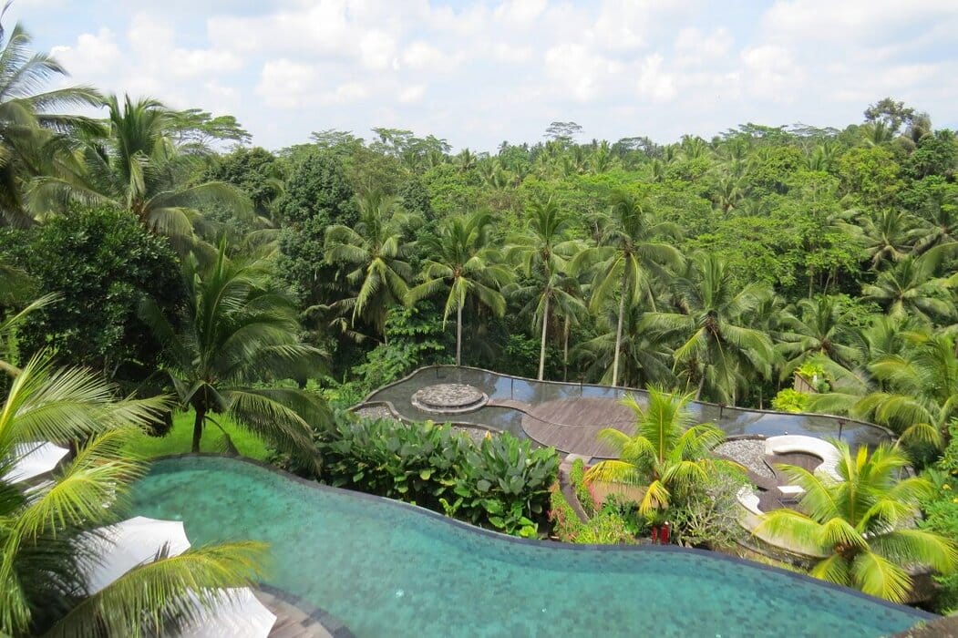 Abisena Ubud infinity pool and view