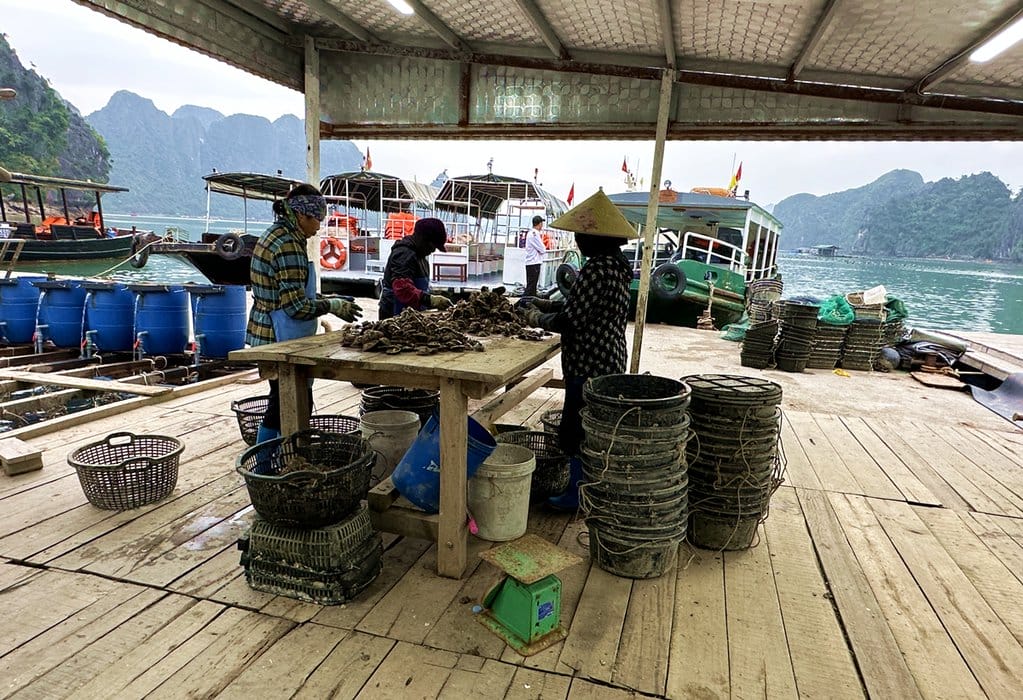Pearl Farm - Ha Long Bay