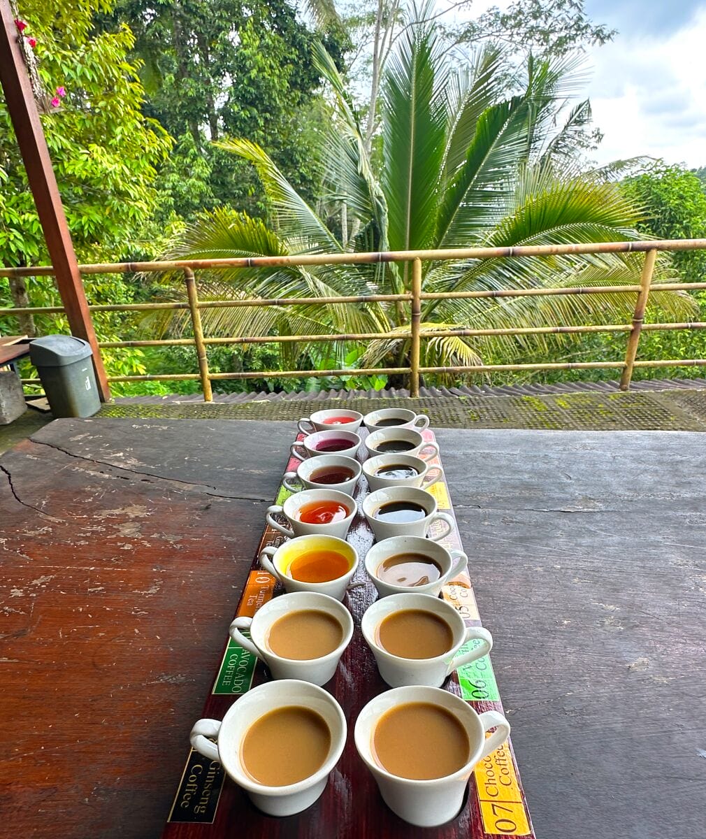 Coffee Plantation Tasting